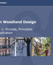 Urban Woodland Design Training Course Powerpoint 4: Design 1